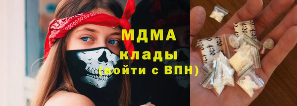 индика Алзамай