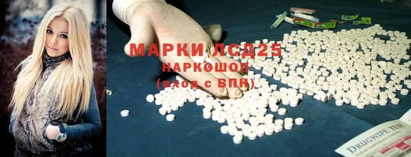СК Алексин