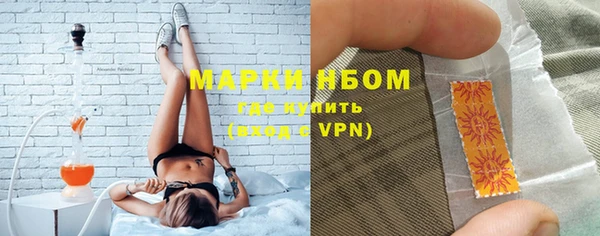 индика Алзамай
