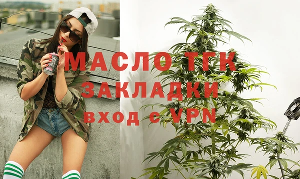 СК Алексин