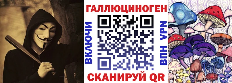 Псилоцибиновые грибы Magic Shrooms Новокубанск