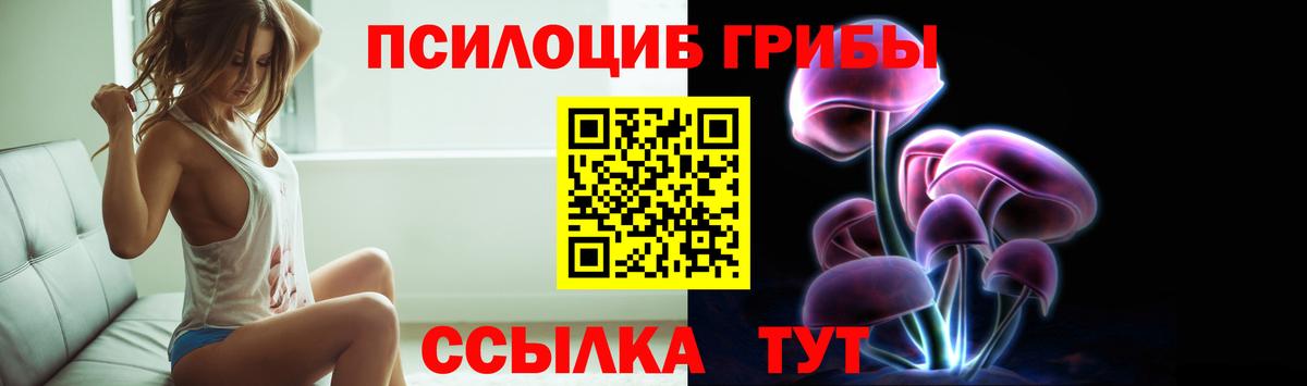 Новокубанск  Галлюциногенные грибы мицелий  Вход с VPN 